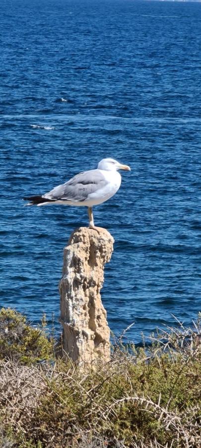75 Avinguda De Murcia Santa Pola Kültér fotó